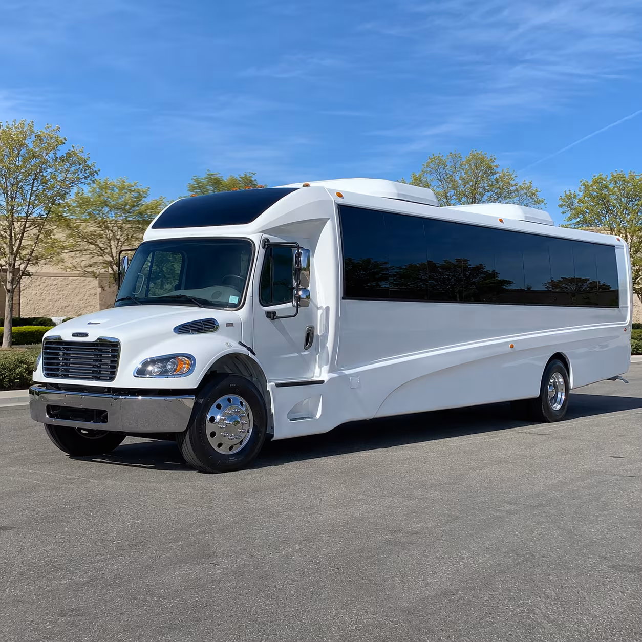 detroit 18 passenger minibus