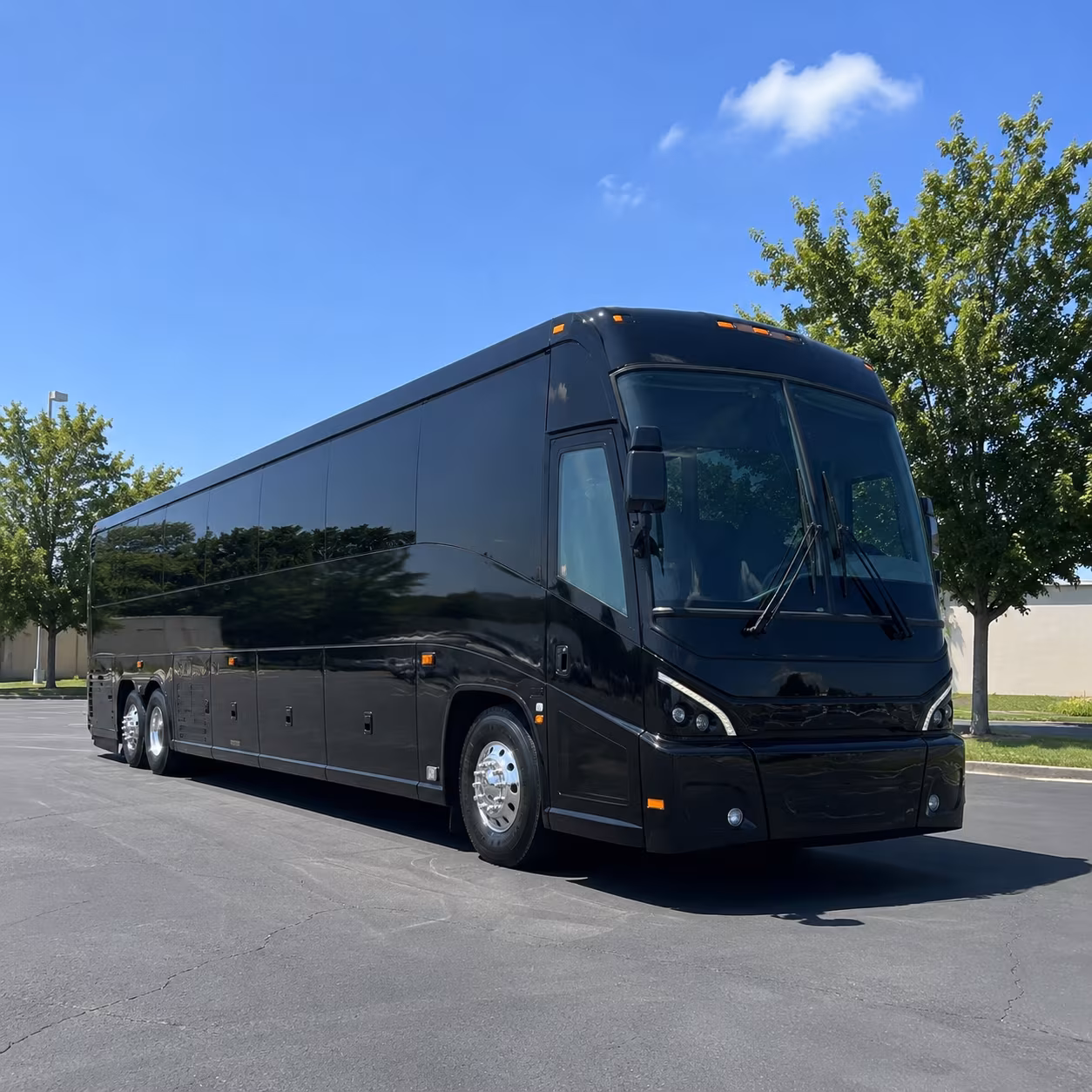 detroit 56 passenger charter bus